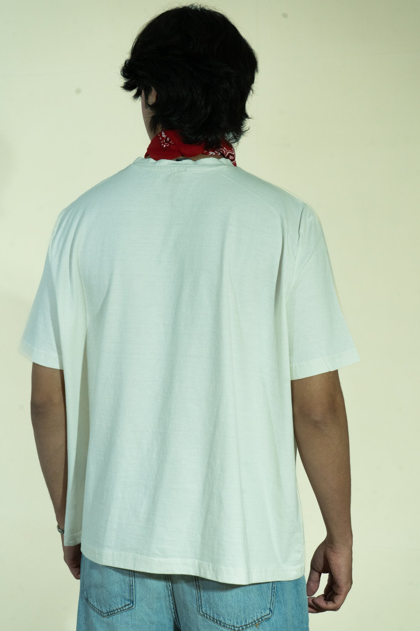 Boxy Fit T-shirt (Unisex)